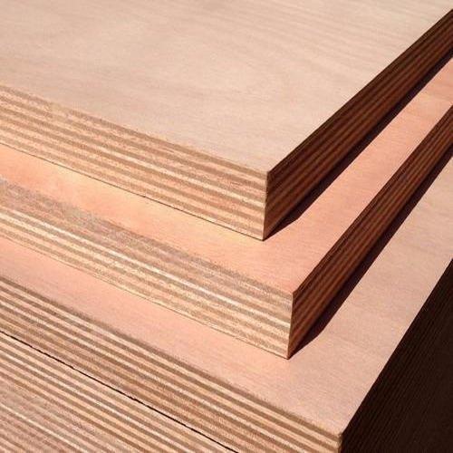 The Best Plywood Collection 2024